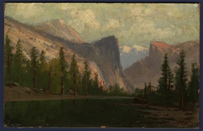 Yosemite (óleo sobre tela colocado a bordo) de Albert Bierstadt